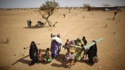 Fonte: sito ufficiale UNHCR