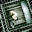 carcere vin iran
