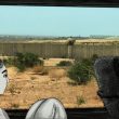 Nazra short film festival palestina