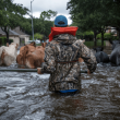 harvey cambiamento climatico