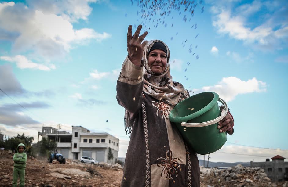 palestina uawc contadine