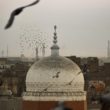 cupola islam