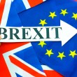 brexit referendum rappresentanza