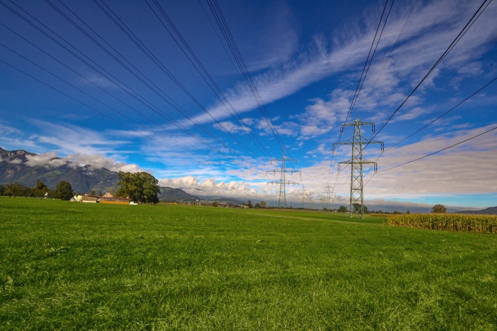 green field under blue sky
