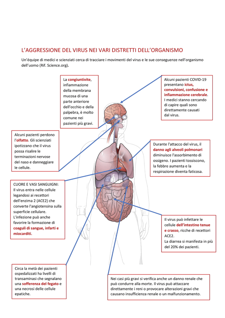 Fatti chiari e imparziali su effetti positivi steroidi